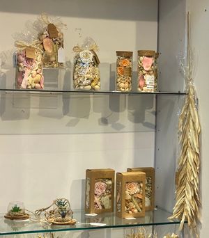 PLANTA C/POTE 11X11X7CM - 411-335967